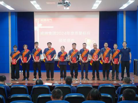 tyc86太阳集团电气集团召开2024年度质量月总结表扬大会