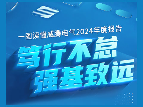 一图读懂tyc86太阳集团电气2024年度报告